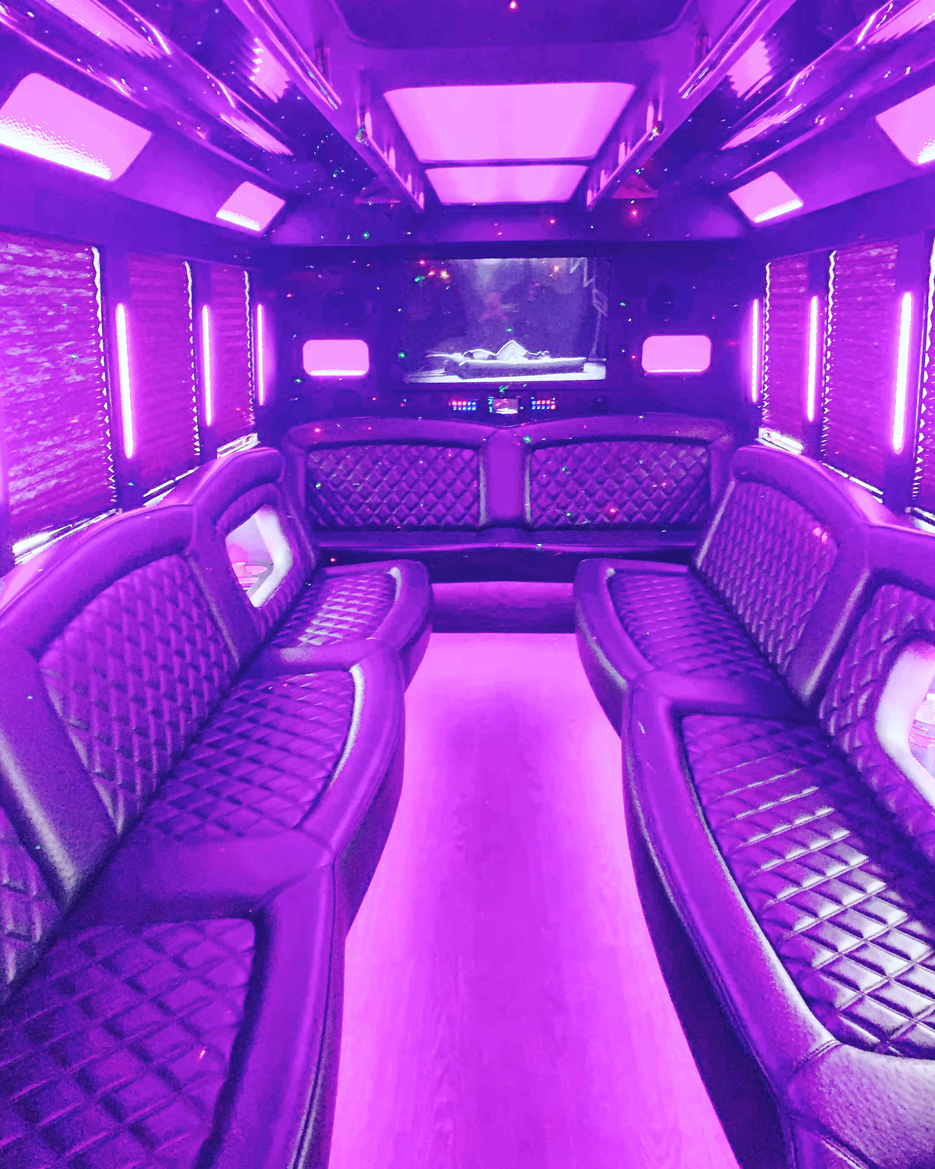 Party Bus Interior Executive